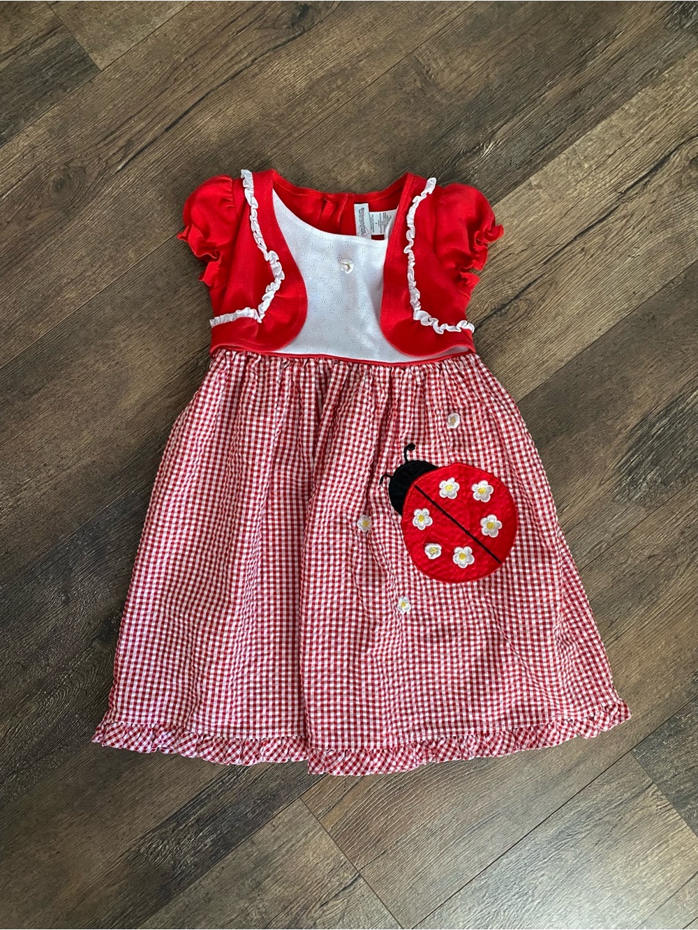 Gingham Vintage Girls Dress